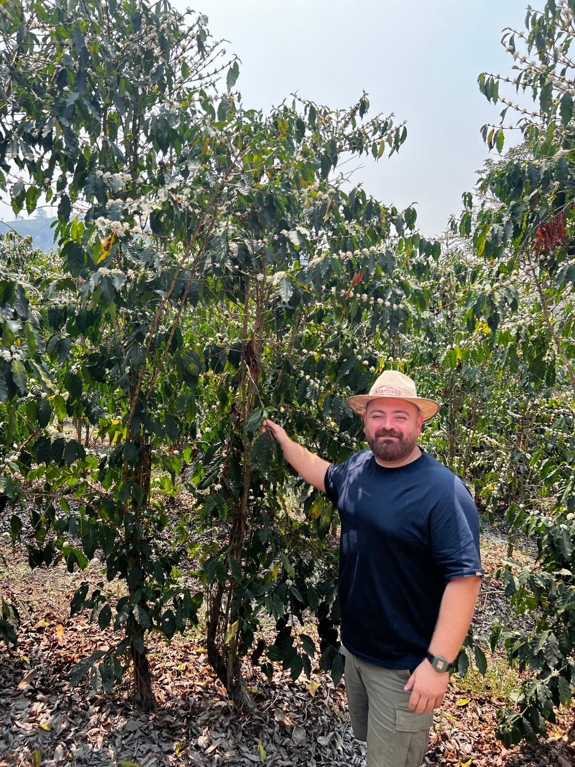 Spetza Small-Batch Specialty Coffee